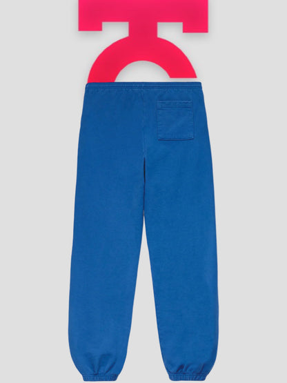Sp5der Legacy Sweatpants Blue